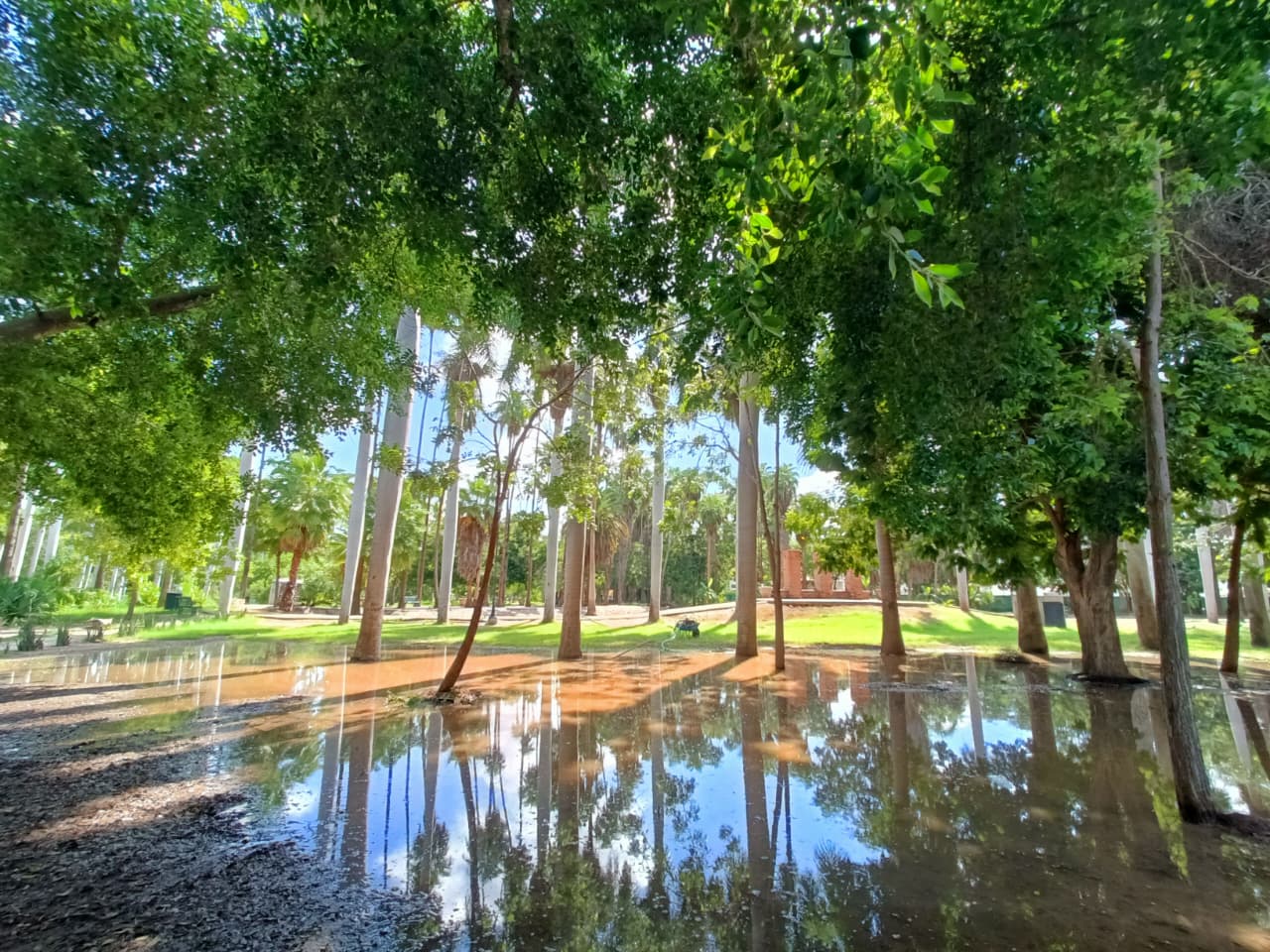 Parque Sinaloa