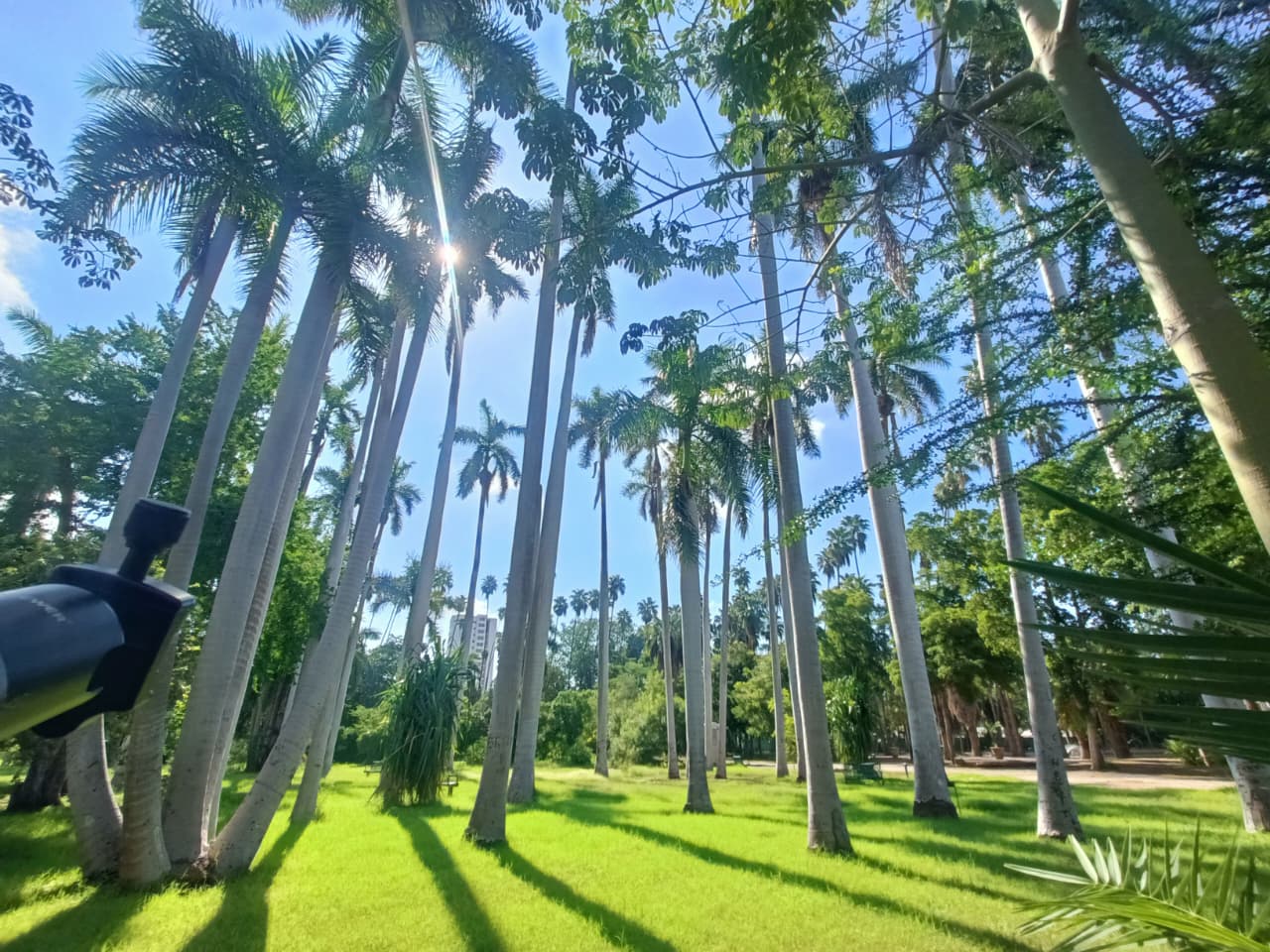 Parque Sinaloa