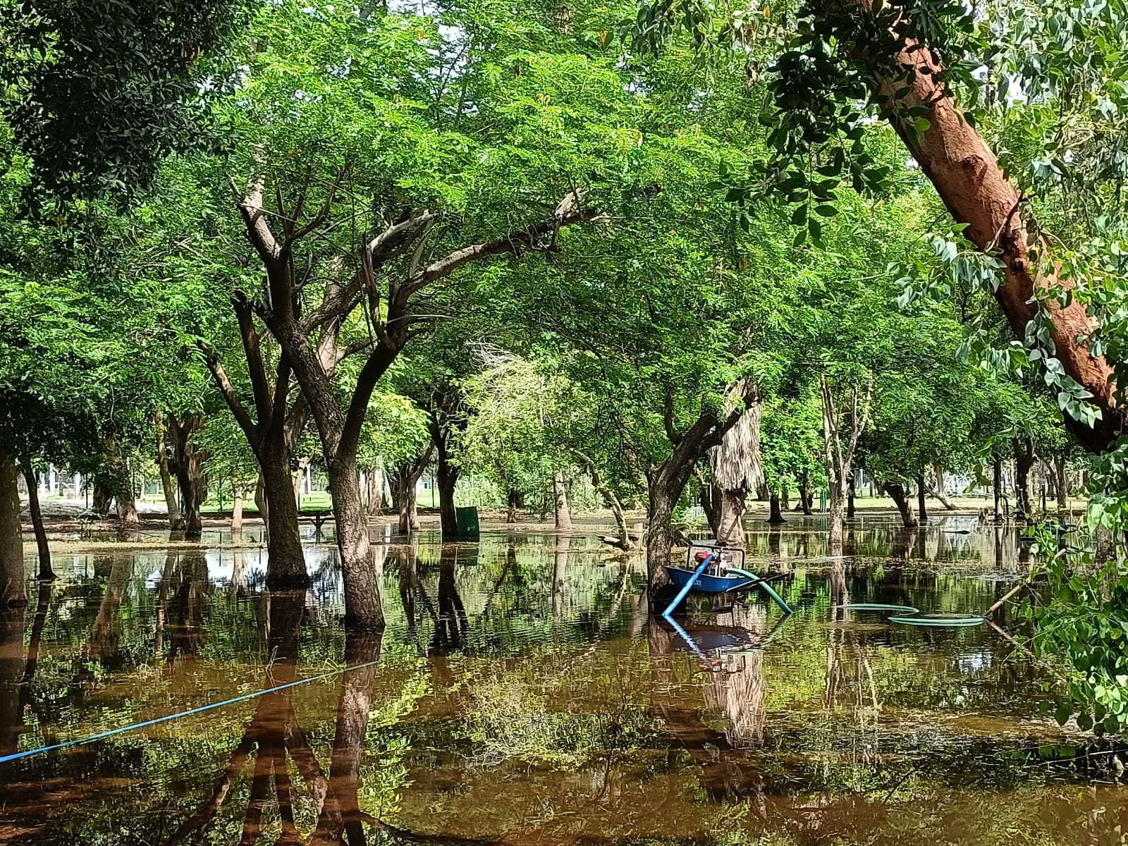 Parque Sinaloa de Los Mochis inundado tras las lluvias