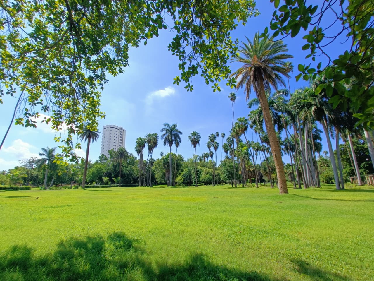 Parque Sinaloa