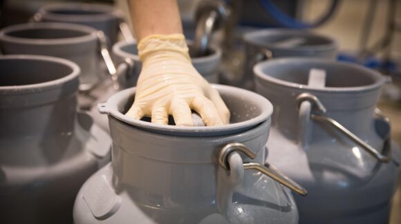 Pasteurizadoras aceptan pagar a 12 pesos el litro de la leche desde ya; otorgan un aumento de 50 centavos