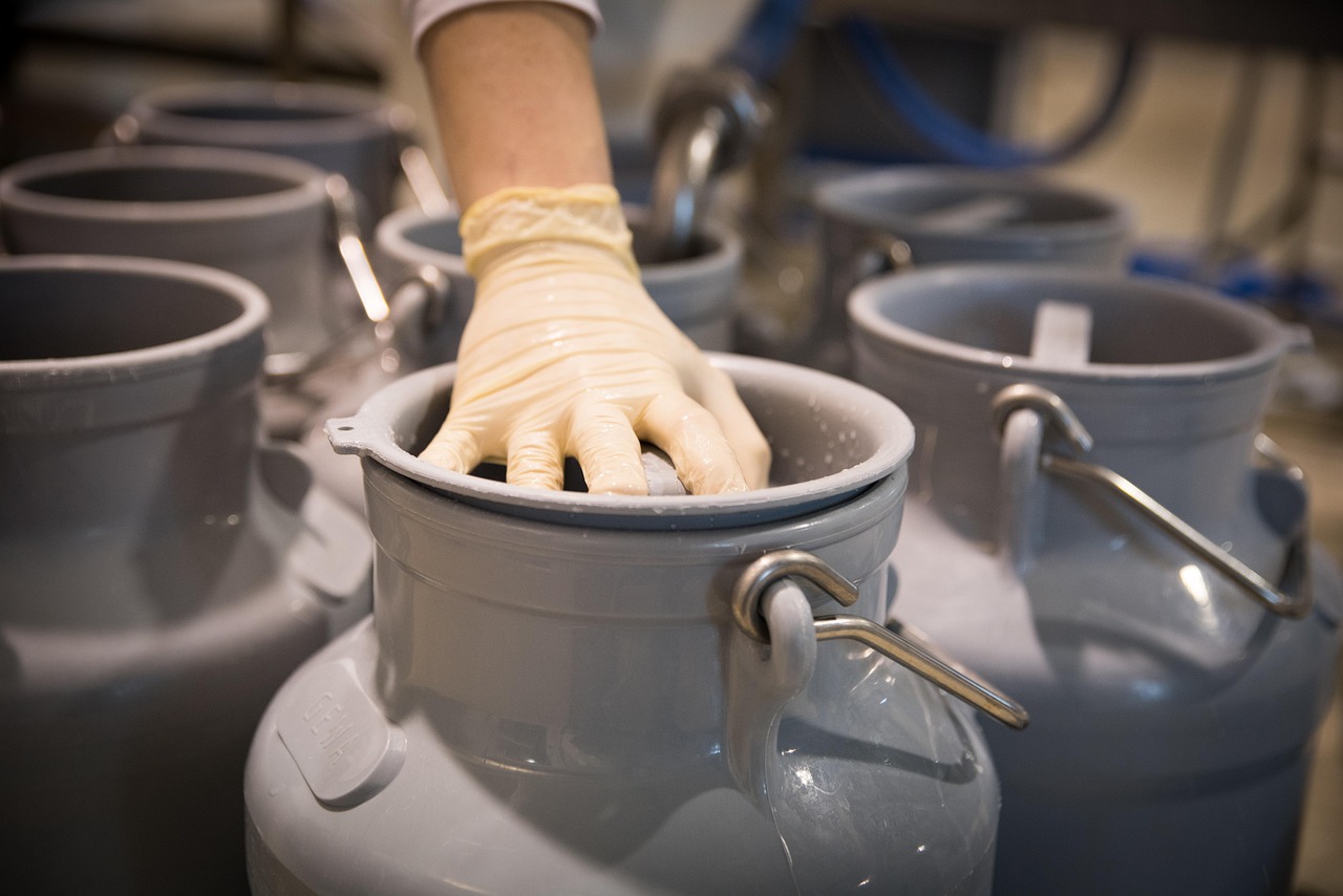 Pasteurizadora de leche
