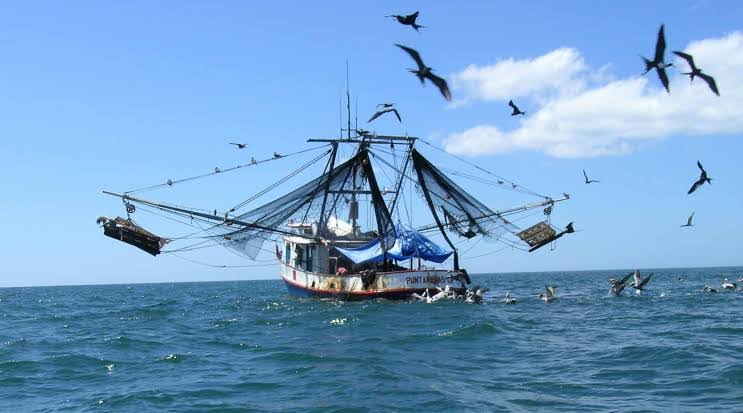 barco pesquero