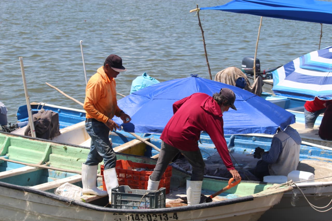 pecadores del huitussi guasave sin
