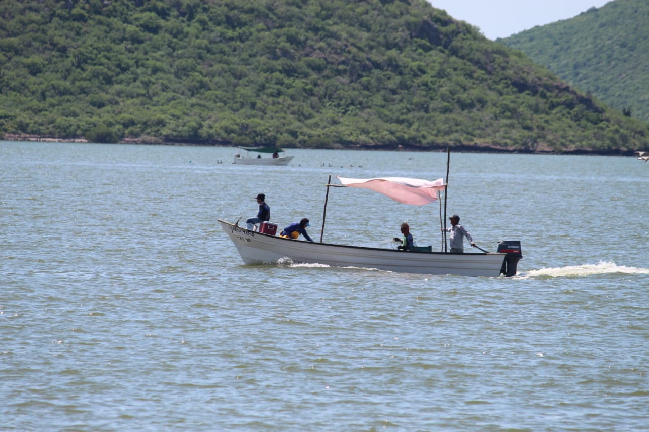 pesca de camaron en el huitussi guasave