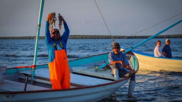 Alcanza 25% más las capturas de camarón en la actual temporada, a diferencia del año pasado, resalta Pesca Sinaloa