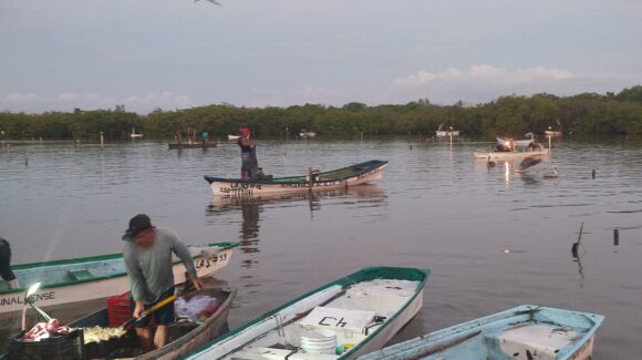 Las mujeres cada vez tienen un papel más protagónico en la pesca, representan el 20% del padrón estatal: SPyA