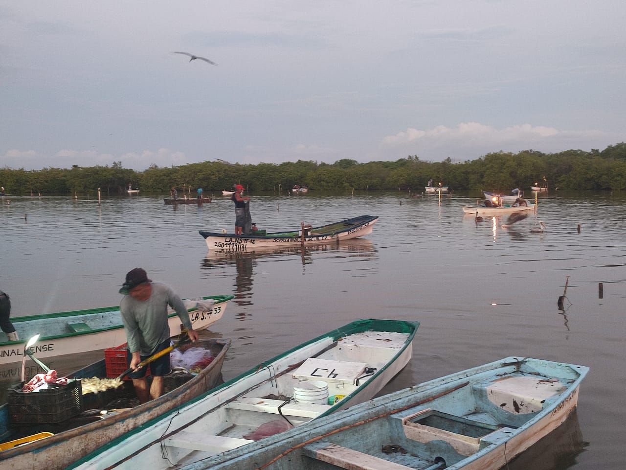 Pescadores ribereños