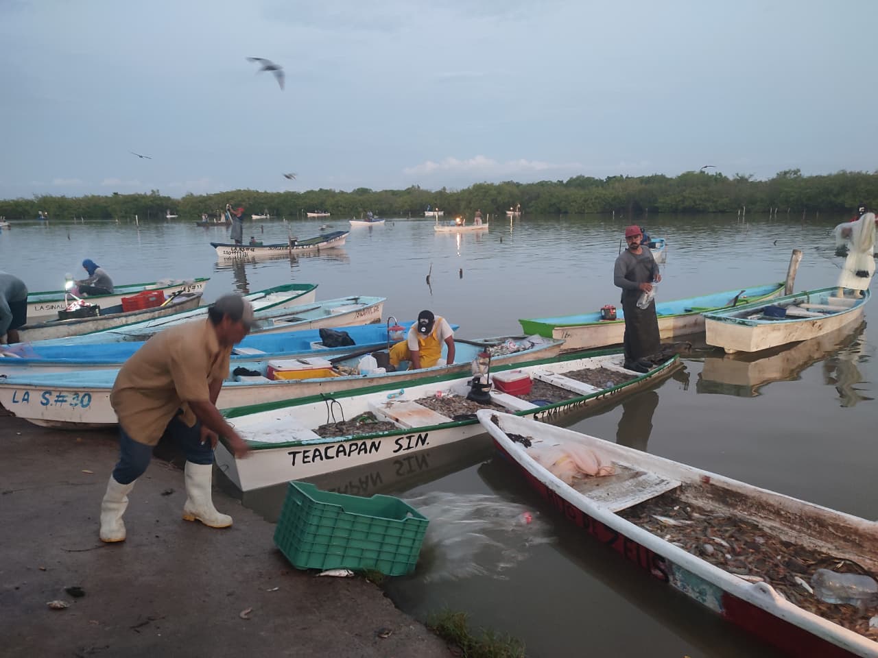 Pescadores ribereños