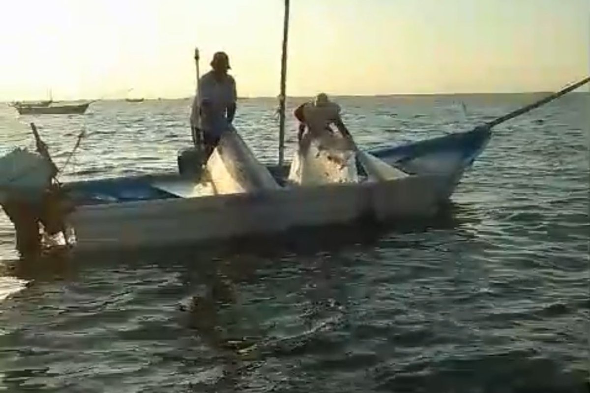 Pescadores en el mar
