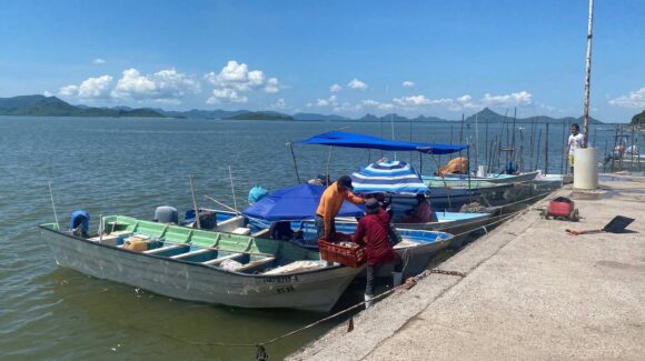 Pescadores de Guasave, Sinaloa, piden regionalizar la pesca de camarón ante la peor temporada en años