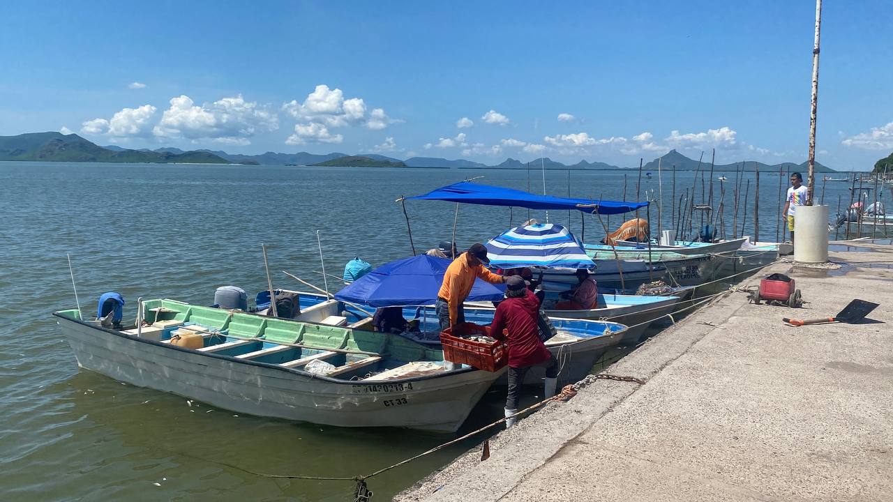 pescadores de guasave sinaloa