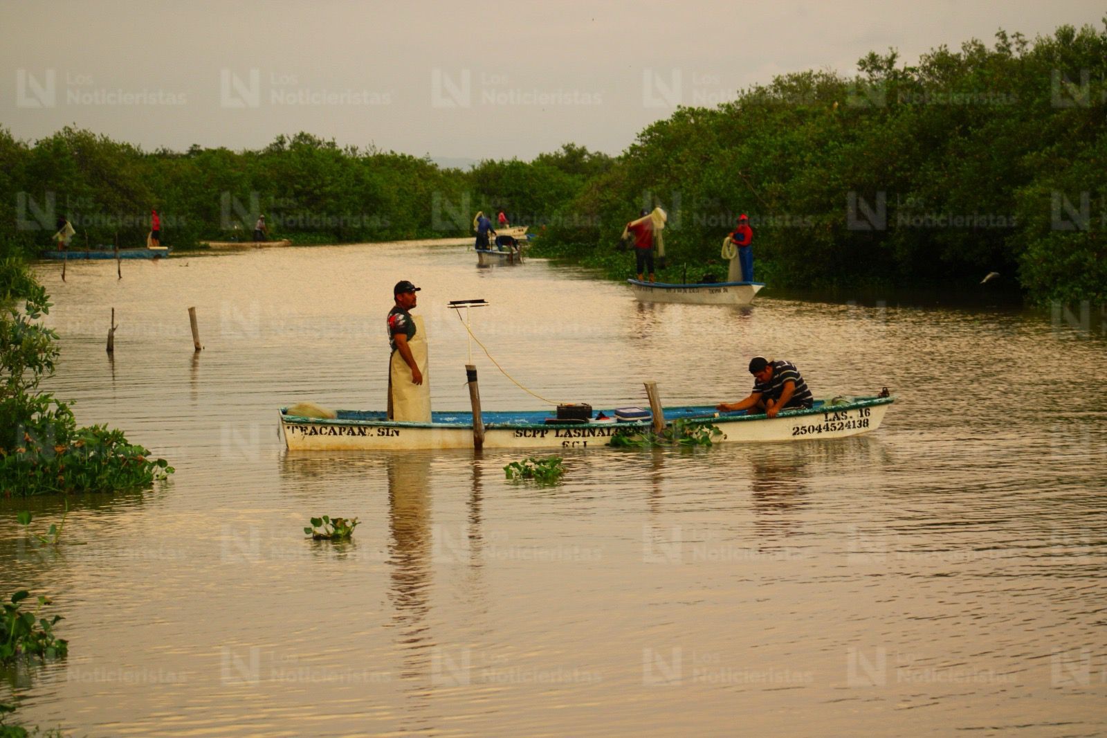 Pescadores de El Ostial en Mazatlán, Sinaloa inicia la zafra camaronera
