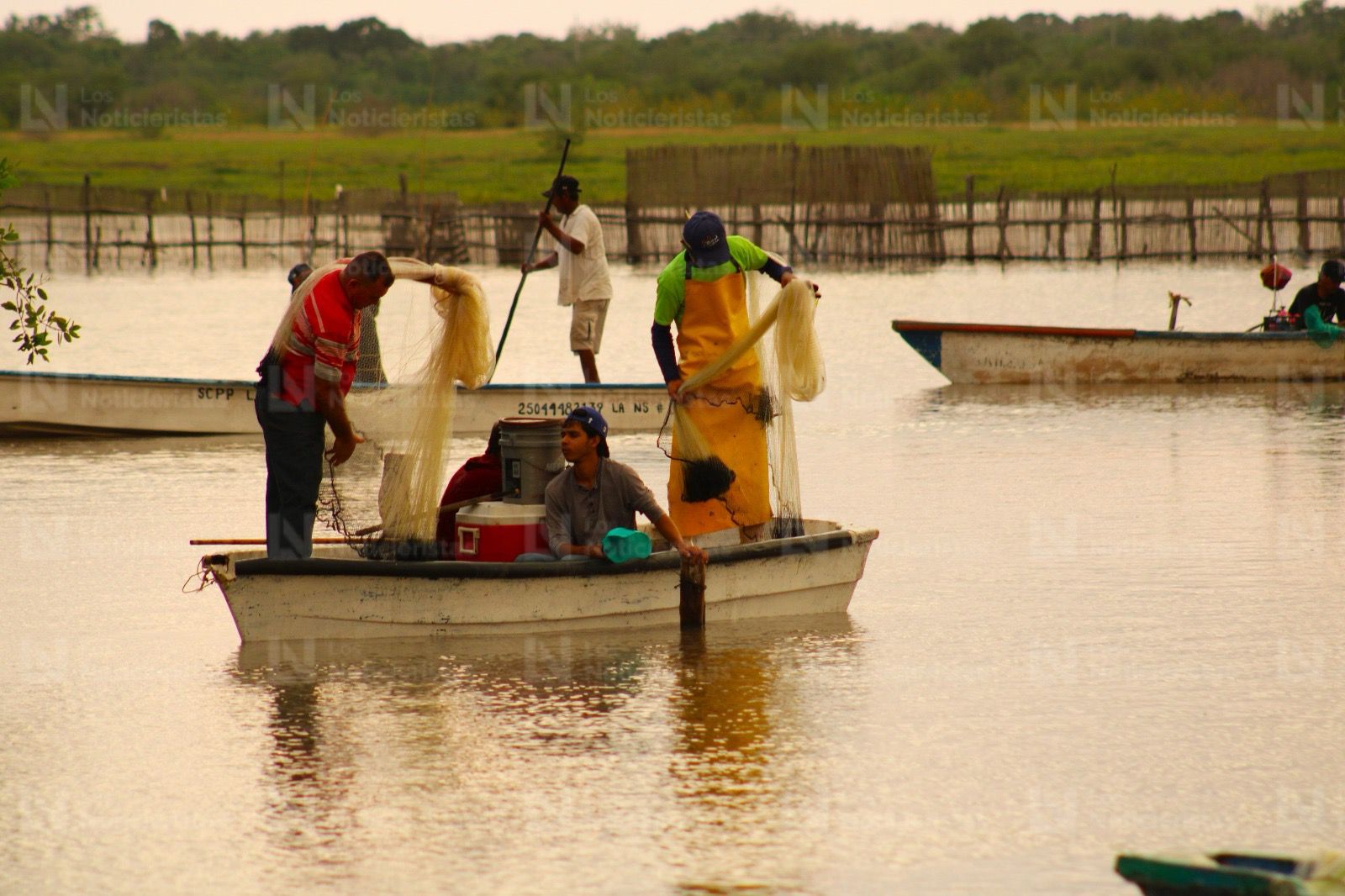 Pescadores de El Ostial en Mazatlán, Sinaloa inicia la zafra camaronera