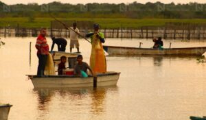 ¡Buena mar! Sinaloa inicia captura de camarón en siete municipios