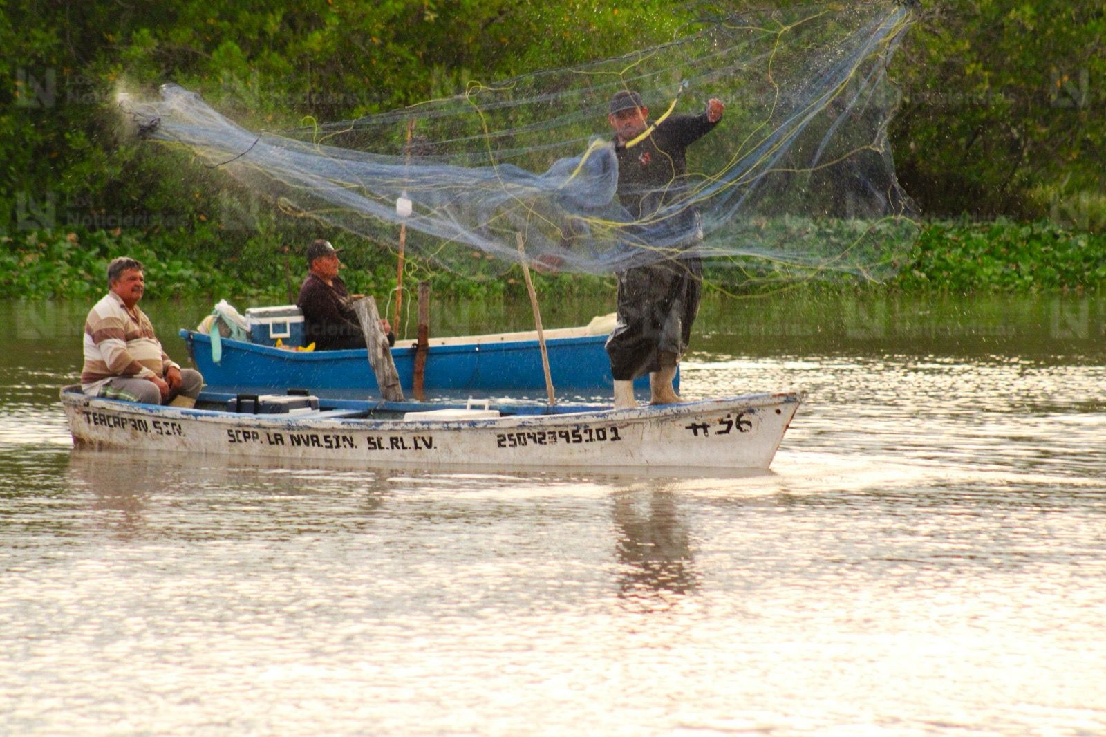 Pescadores de El Ostial en Mazatlán, Sinaloa inicia la zafra camaronera