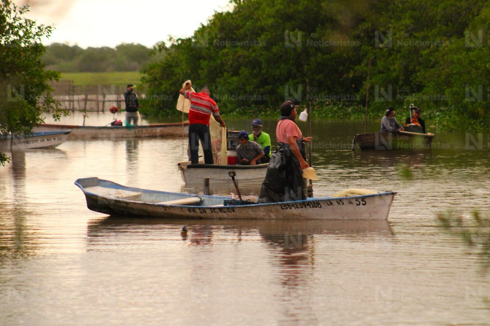 Pescadores de El Ostial en Mazatlán, Sinaloa inicia la zafra camaronera