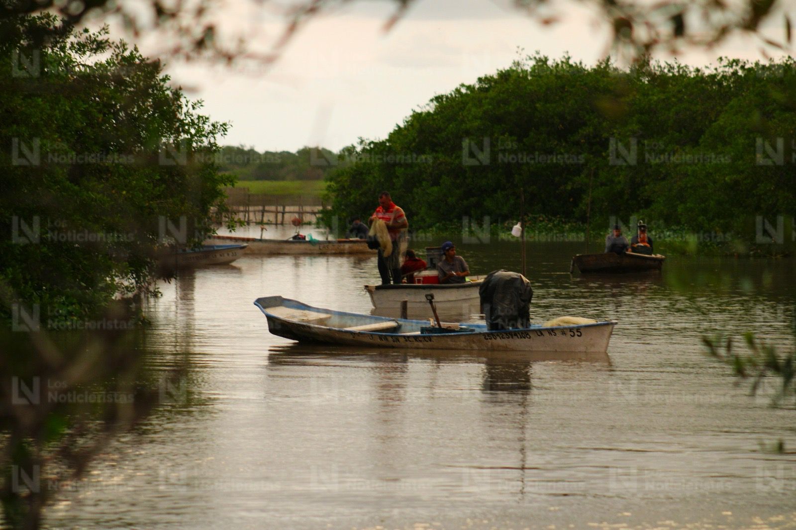 Pescadores de El Ostial en Mazatlán, Sinaloa inicia la zafra camaronera