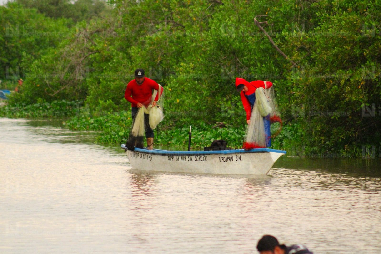Pescadores de El Ostial en Mazatlán, Sinaloa inicia la zafra camaronera