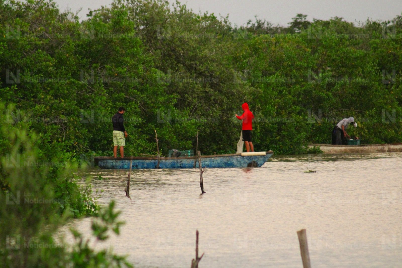 Pescadores de El Ostial en Mazatlán, Sinaloa inicia la zafra camaronera