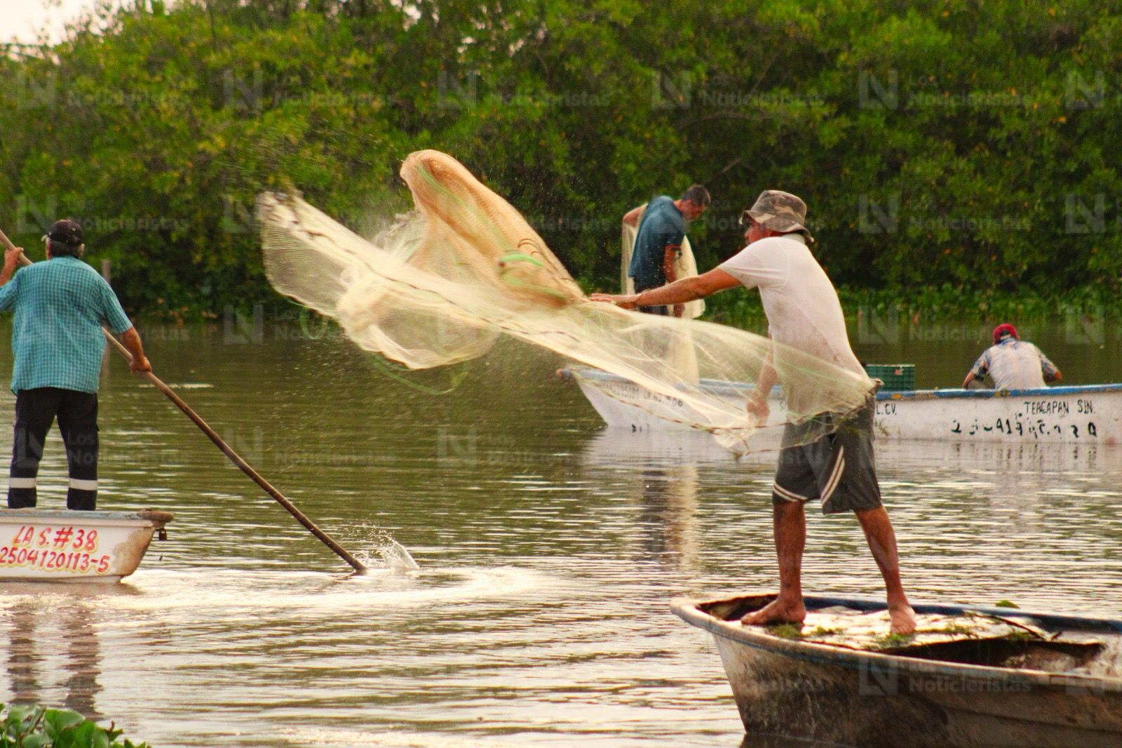 Pescadores de El Ostial en Mazatlán, Sinaloa inicia la zafra camaronera