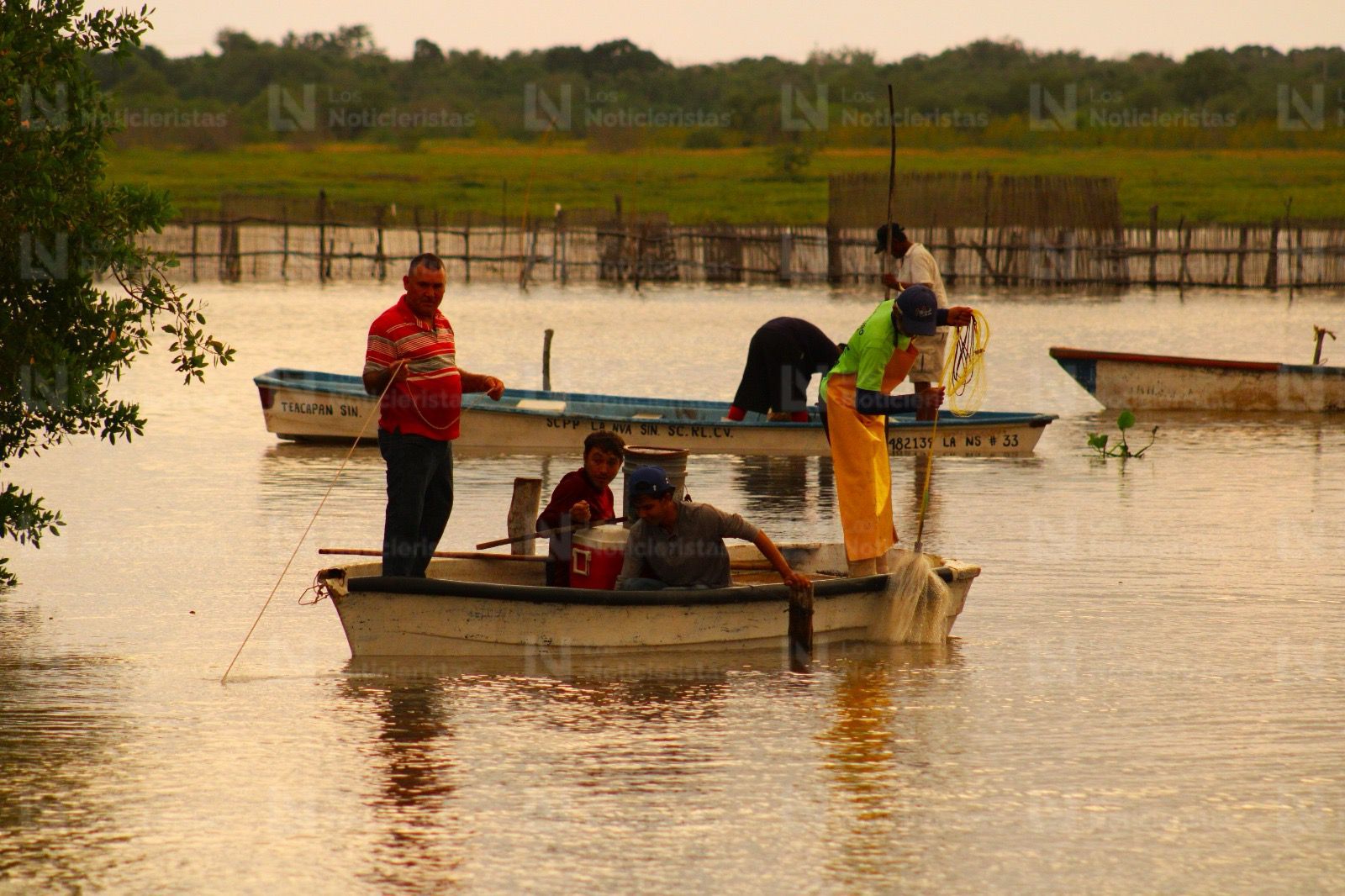 Pescadores de El Ostial en Mazatlán, Sinaloa inicia la zafra camaronera