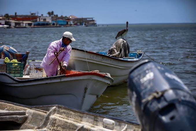 Pescadores ribereños