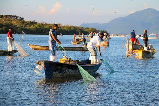 Pescadores ribereños