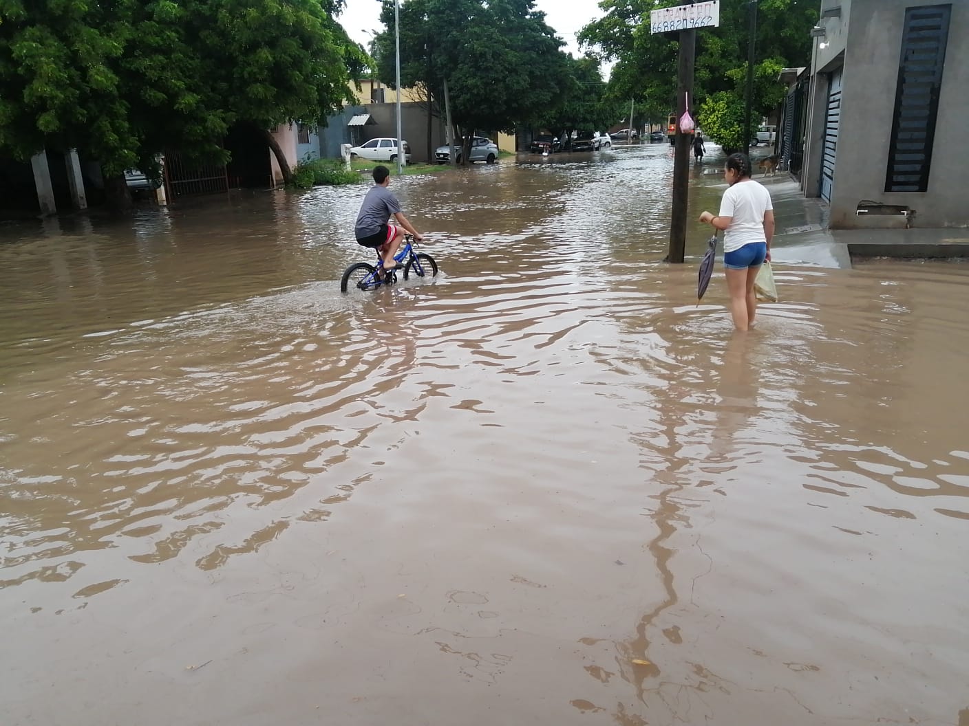 Vecinos de Las Mañanitas, Los Mochis, piden ayuda por inundación