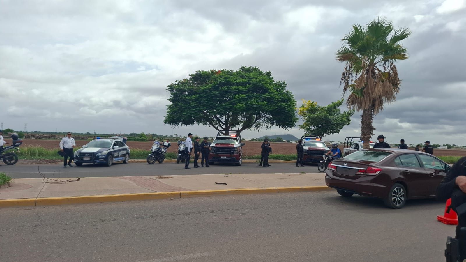 policía municipal de Ahome revisando carros polarizados