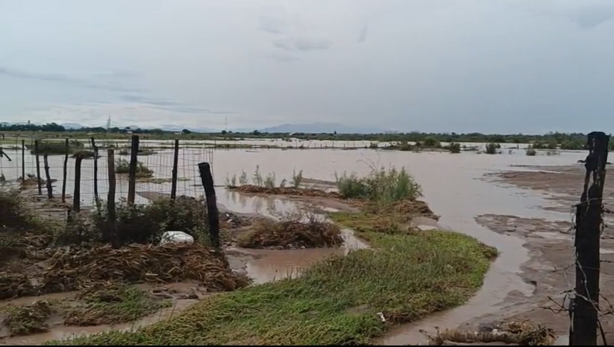 por lluvias viviendas inundadas y canales desbordados en zona rural de culiacan sin