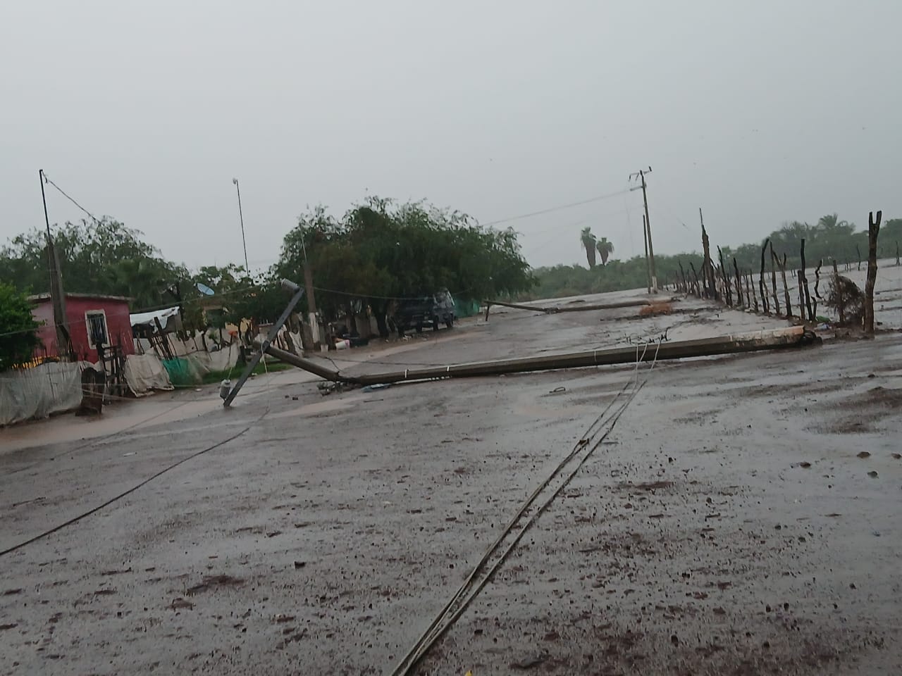 postes caidos dejo el paso de lorena por ahome