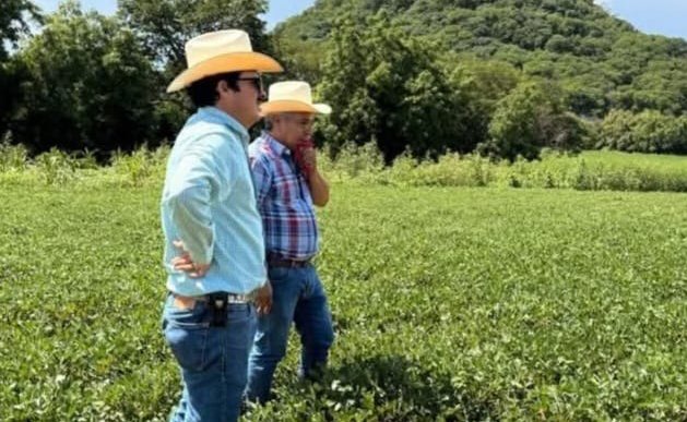 productores cacahuateros de sinaloa