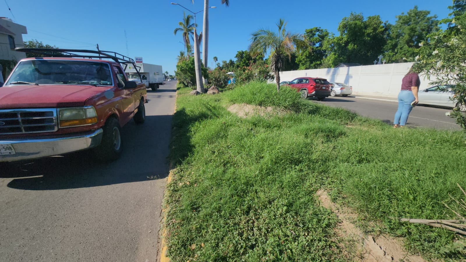 ramas de bulevares de guasave