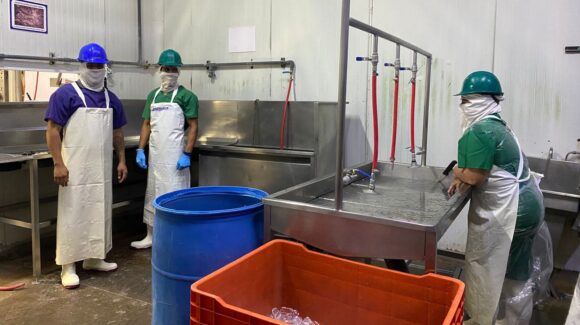 Rastro TIF en Mazatlán, Sinaloa refuerza trazabilidad del ganado para alimentos seguros