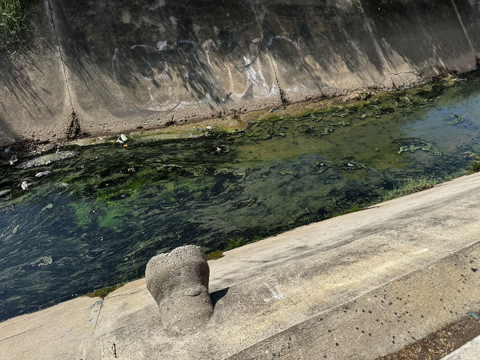 Vecinos de Hacienda del Mar en Mazatlán exigen recuperar áreas verdes