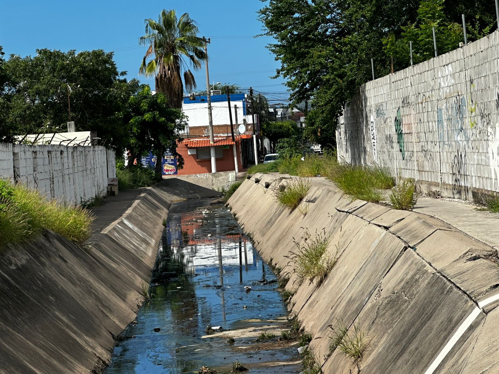 Vecinos de Hacienda del Mar en Mazatlán exigen recuperar áreas verdes