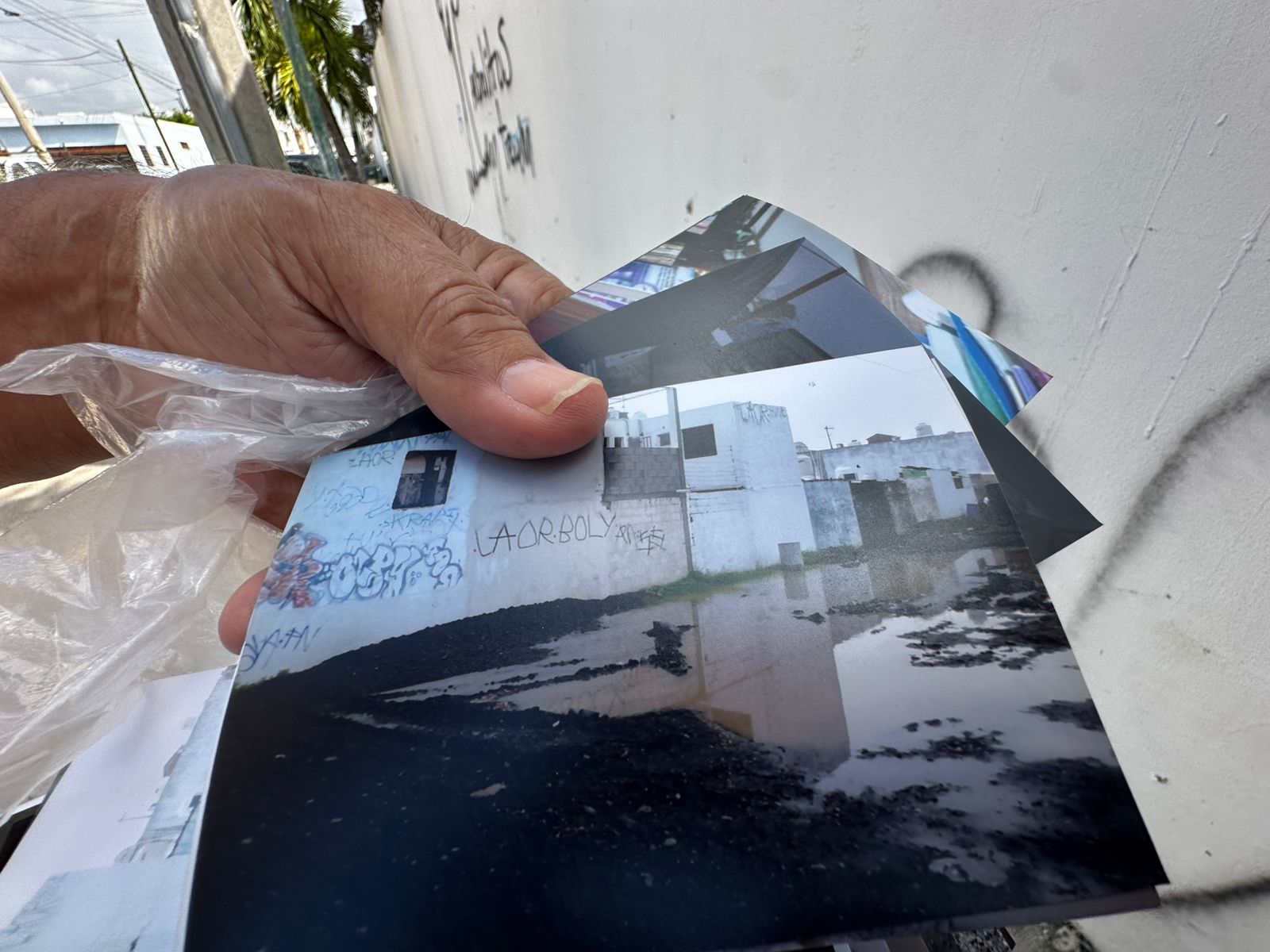 Vecinos de Hacienda del Mar en Mazatlán exigen recuperar áreas verdes
