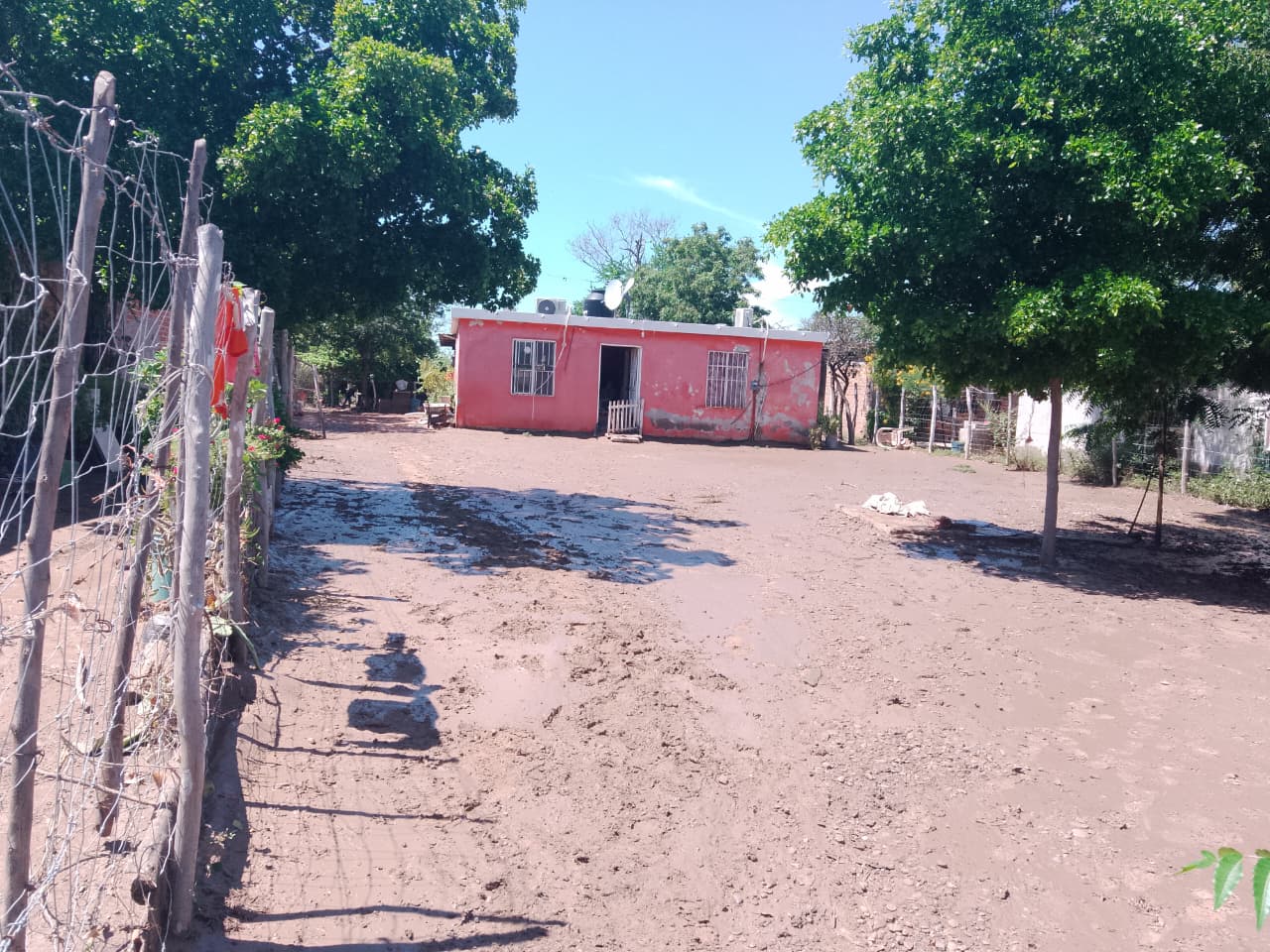 viviendas afectadas por desbordamiento de arroyo en la comunidad de San Marcial, Guasave, Sinaloa
