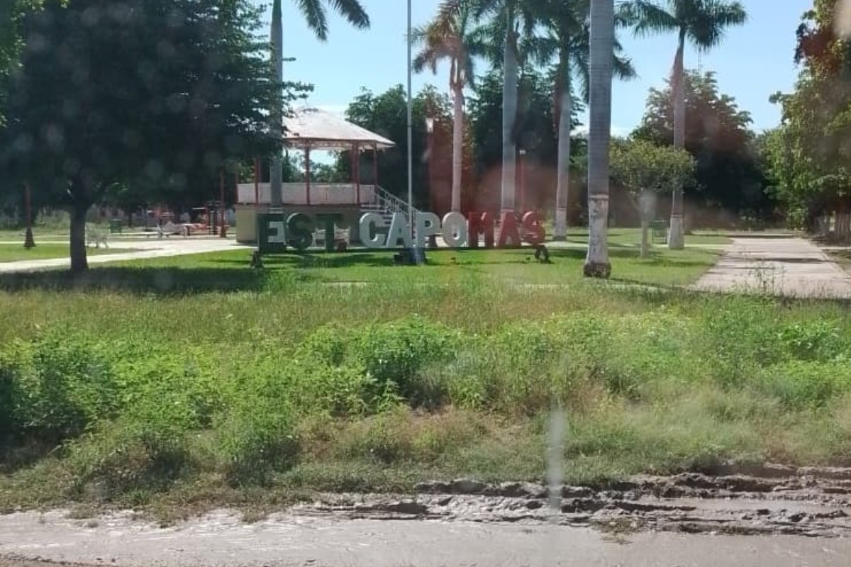 viviendas afectadas por desbordamiento de arroyo en la comunidad de San Marcial, Guasave, Sinaloa