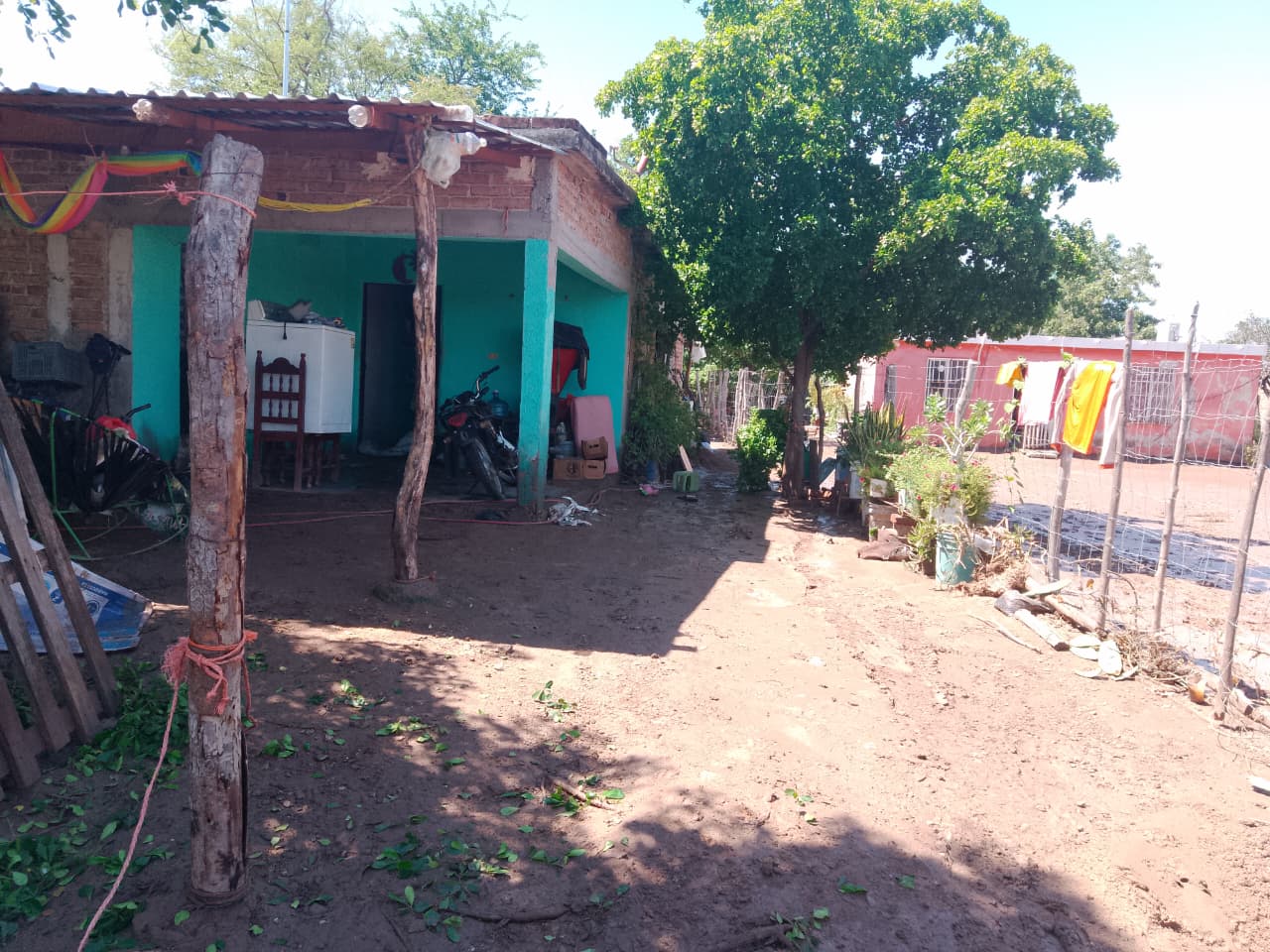 viviendas afectadas por desbordamiento de arroyo en la comunidad de San Marcial, Guasave, Sinaloa