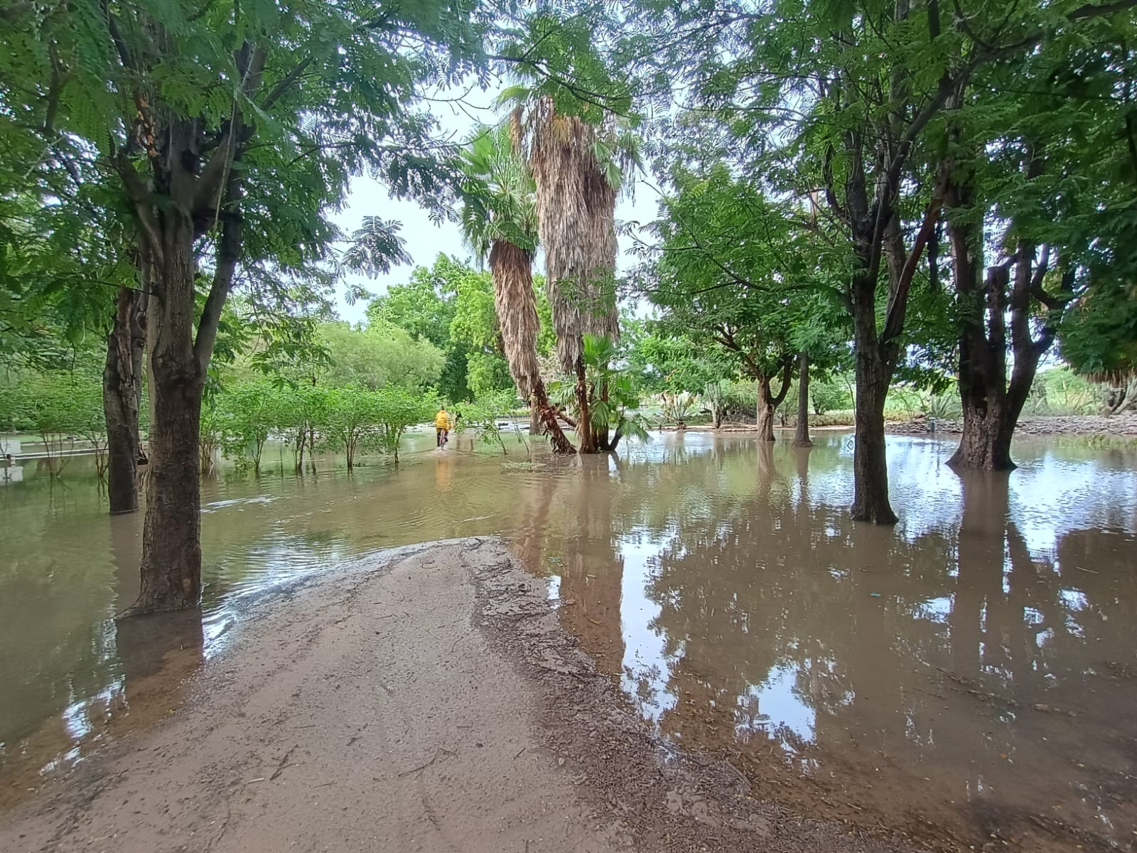 Se inunda el parque Sinaloa