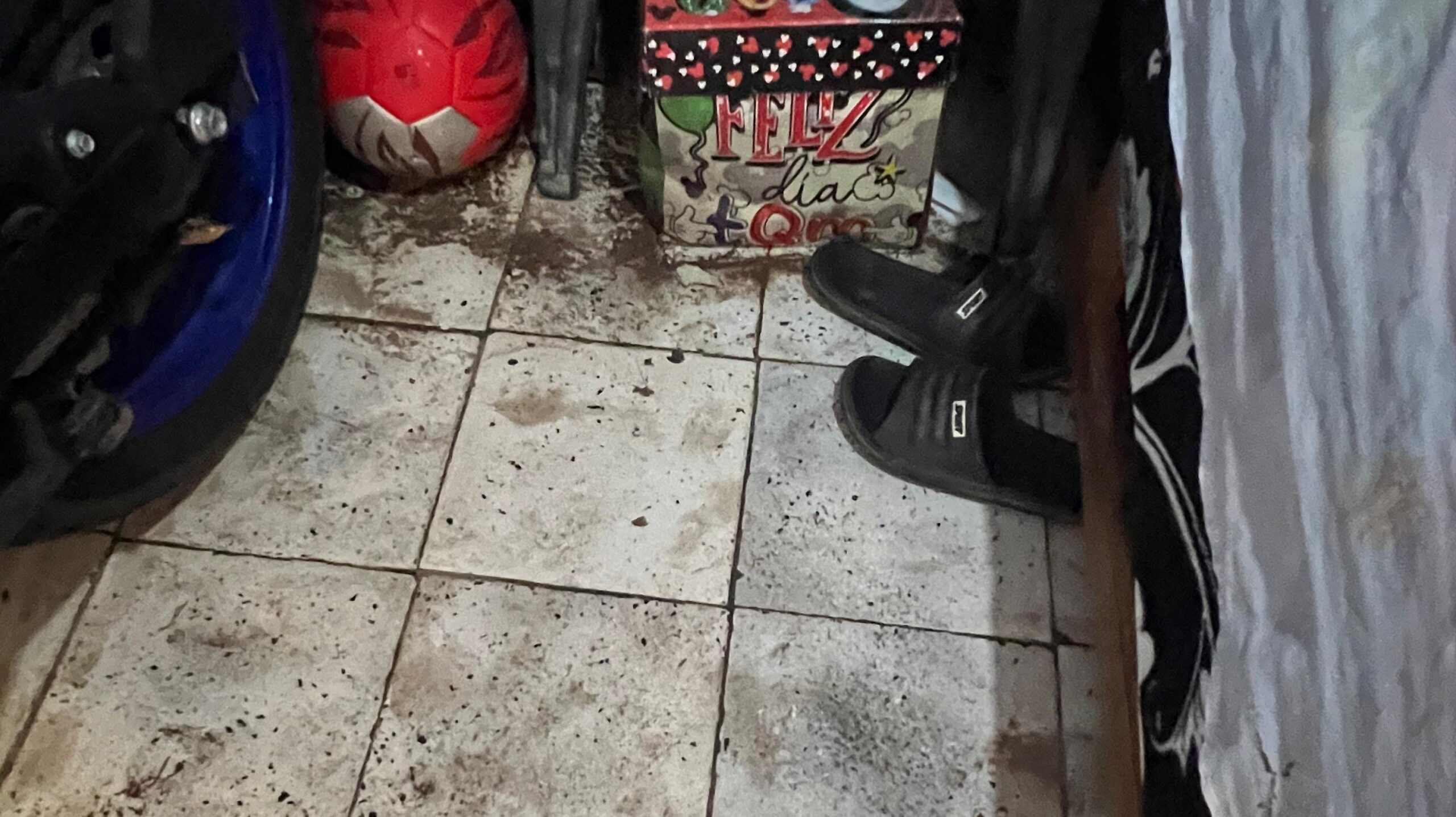 secretaria de bienestar ahome visita la colonia rosendo g castro habitantes