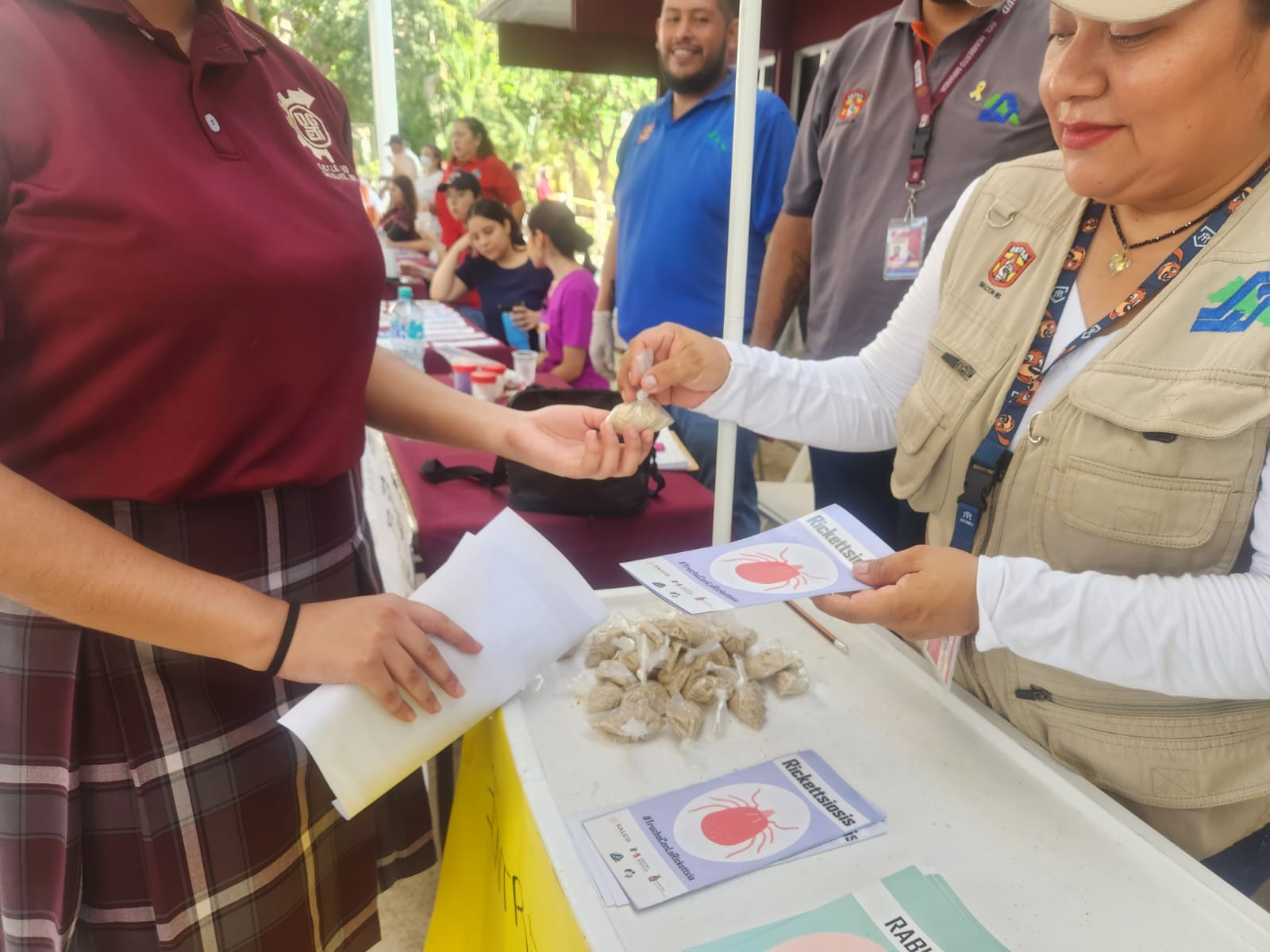 Sector Salud detecta casos de dengue en Guasave