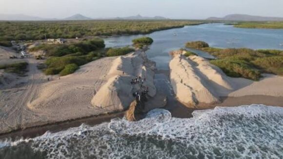 Ni autoveda, ni a preparar redes; pescadores de El Rosario, Sinaloa optan por la siembra de hortalizas que camarón