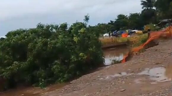 Socavón en el dren San Joachín, en Guasave, se traga un árbol tras las lluvias de Lorena