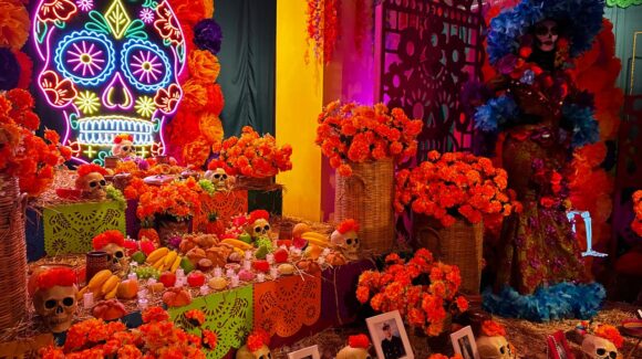 “Colores y tradiciones”: así es la nueva atracción temática del Gran Acuario de Mazatlán