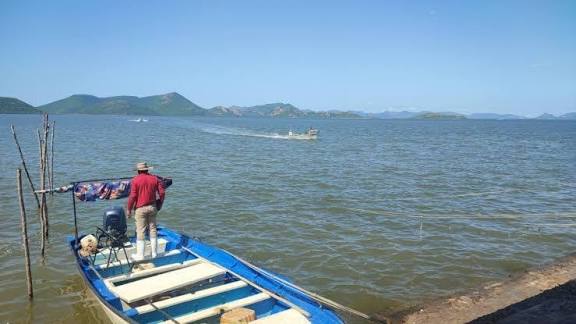 Pesca