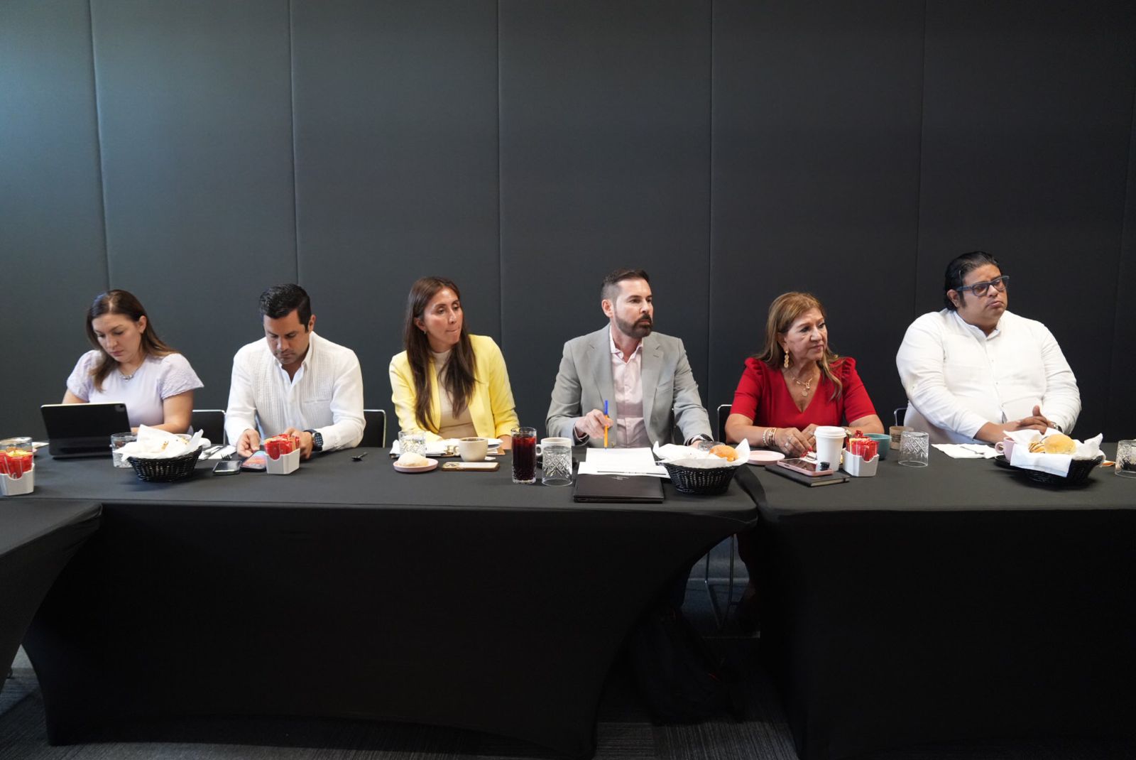 tere guerra se reunio con la intercamaral de mazatlan