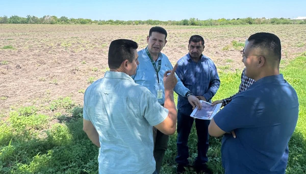 terreno para nuevo hospital de salvador alvarado